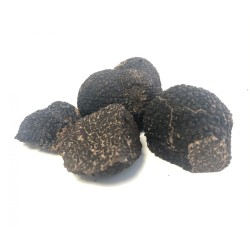 Pieces of fresh truffle