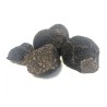 Pieces of fresh truffle