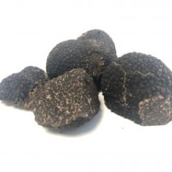 Morceaux de truffe noire fraiche Tuber Melanosporum Vitt  100 g